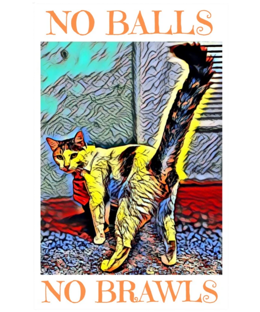 TNR Sticker reads No Balls No Brawls for Trap Neuter Return Advocates, Colony Care Givers, Community Cats, Feral Cats, Stray Cats, Street Cats. Animal Rescue and Trap Neuter Return 