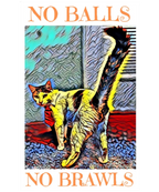 TNR Sticker reads No Balls No Brawls for Trap Neuter Return Advocates, Colony Care Givers, Community Cats, Feral Cats, Stray Cats, Street Cats. Animal Rescue and Trap Neuter Return 