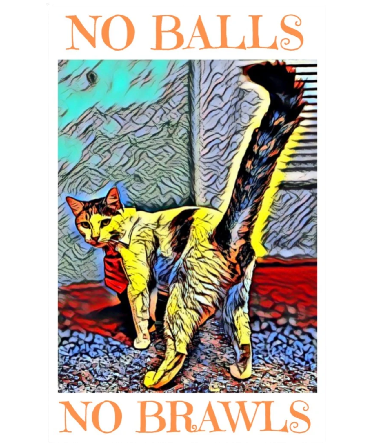 TNR Sticker reads No Balls No Brawls for Trap Neuter Return Advocates, Colony Care Givers, Community Cats, Feral Cats, Stray Cats, Street Cats. Animal Rescue and Trap Neuter Return 